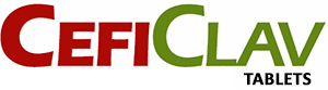 Ceficlav Logo