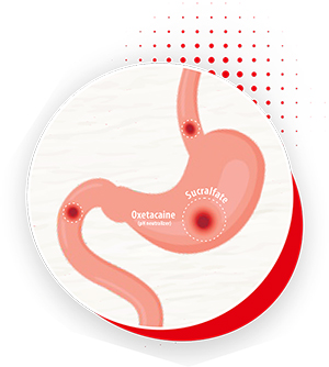 Peptos Suspension Stomach Support Diagram